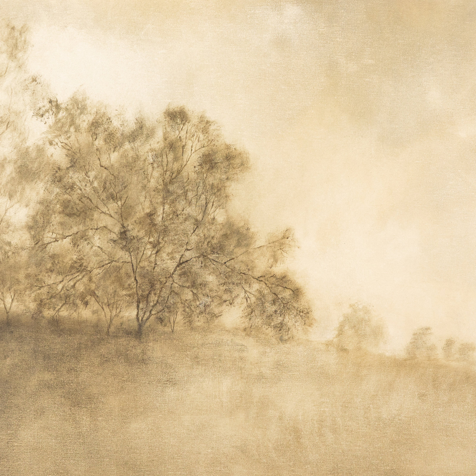 Revival by Aileen Fitzgerald, 30" H x 40" W x 2.5" D