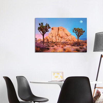 Joshua Tree National Park II 1 Piece Wrapped Canvas Wall Art