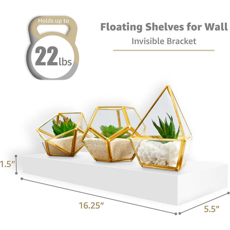 Chelles Sorbus 16" Long Floating Shelves with Invisible Mounting Set of 2, White, White