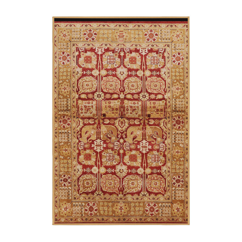 Tapis oriental rouge / brun clair Peekskill, Rectangle 5 pi x 8 pi
