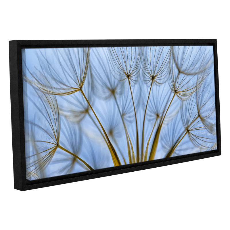 « parachutee seed panoramique », reproduction de photo sur toile tendue encadrée, H 24 po x l 48 po