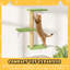 Ensemble d'escalade mural pour chat avec perchoir flottant, pont, maison de chaton, aire de jeu de bricolage-828517234