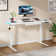 Curtia 140Cm W  Electric Height Adjustable  Desk with Charging Station & LED Light