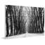 «Rows Of Trees» par Parvez Taj - reproduction de photo non encadrée sur bois-1325904832