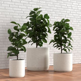Large 3 Piece Ceramic Pot Planter Set