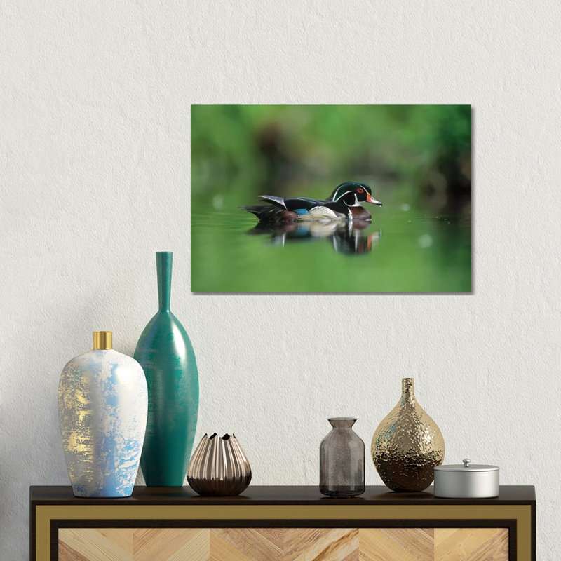 Wood Duck Male Portrait, British Columbia, Canada by Tim Fitzharris - Gallery-Wrapped Canvas Giclée on Canvas, Canvas