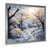 Silver Single Picture Framed