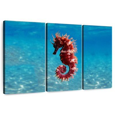 Mediterranean Seahorse