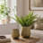 Set of 3 Distressed Metal Planters