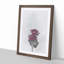 Two Pink Roses in Abstract - Picture Frame Graphic Art Print-55777618-55777622