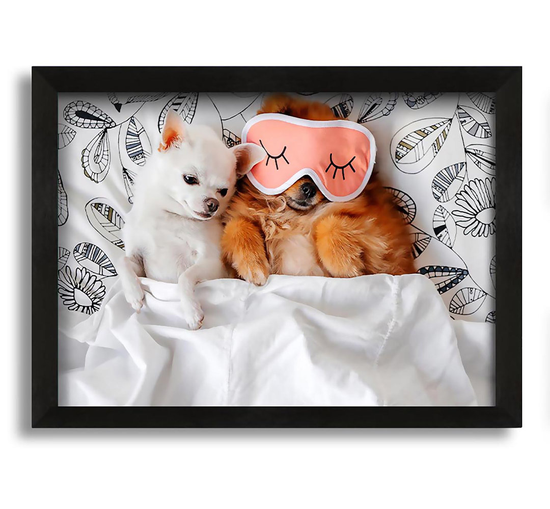 Gerahmter Kunstdruck Chihuahua Bedtime Dog Love