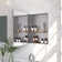 15'' W x 19'' H Recessed Frameless Medicine Cabinet with Mirror and 1 Adjustable Shelf