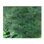 Going Green Painting by F. Elizabeth Douglass