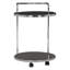 Santibanez Metal Bar Cart-1734607832
