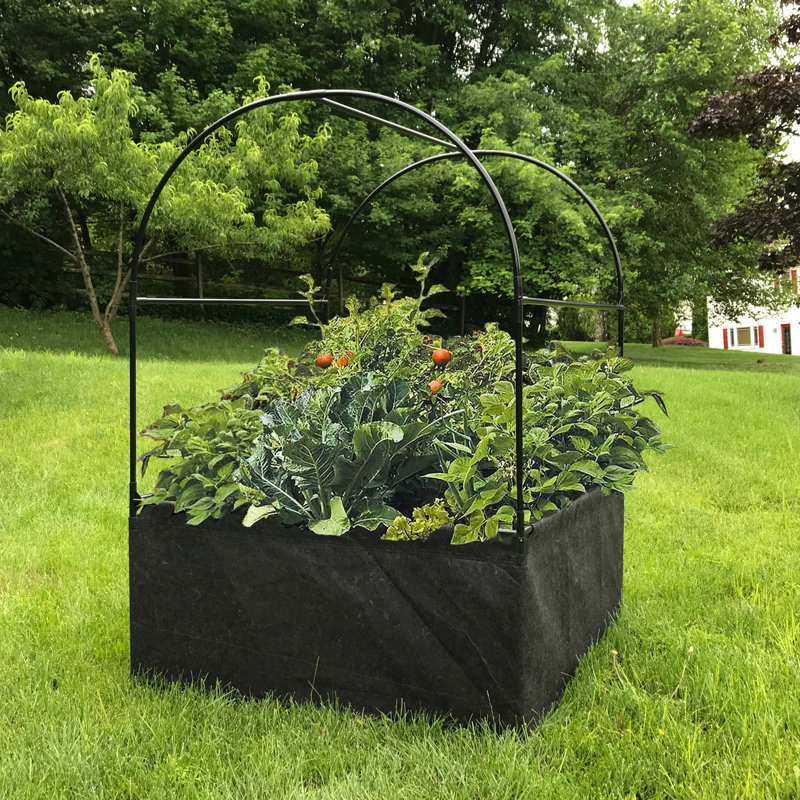44'' W x 44'' D Cold Frame