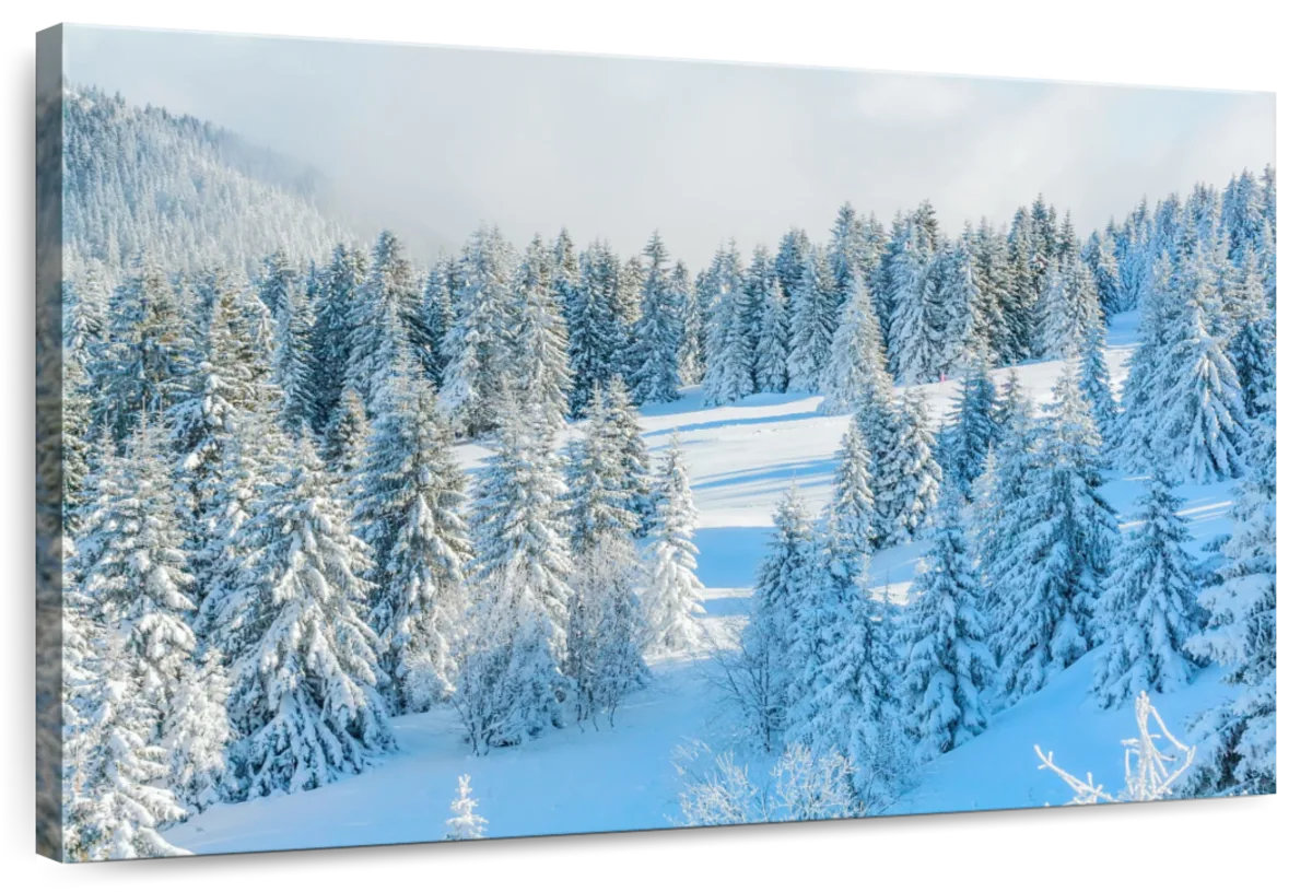 Millwood Pines Alvord Pine Winter Wonderland | Wayfair