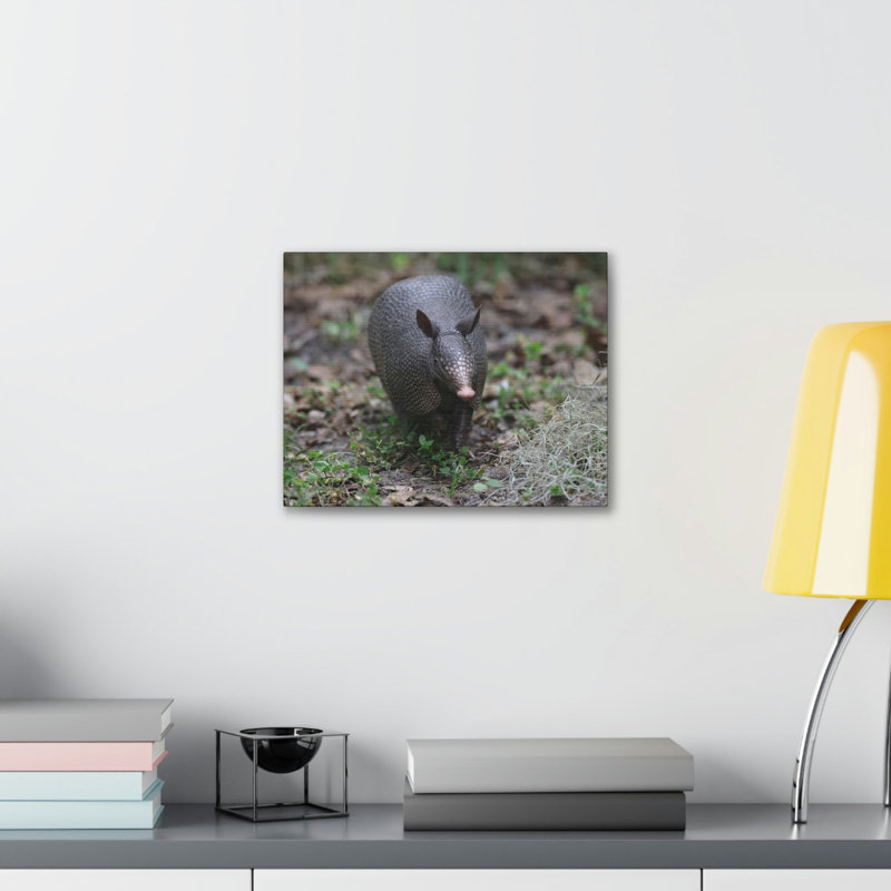 «Armadillo Chasse», art mural, H 12 po x l 16 po