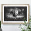 Lion Vol.5 - Picture Frame Graphic Art-62802652-62802653