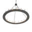 20 - Light Chandelier