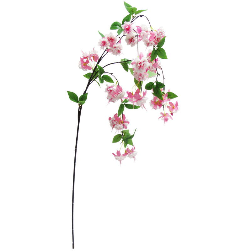 Arrangement, Fuchsia