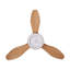 Asman 108cm Ceiling Fan with LED Lights