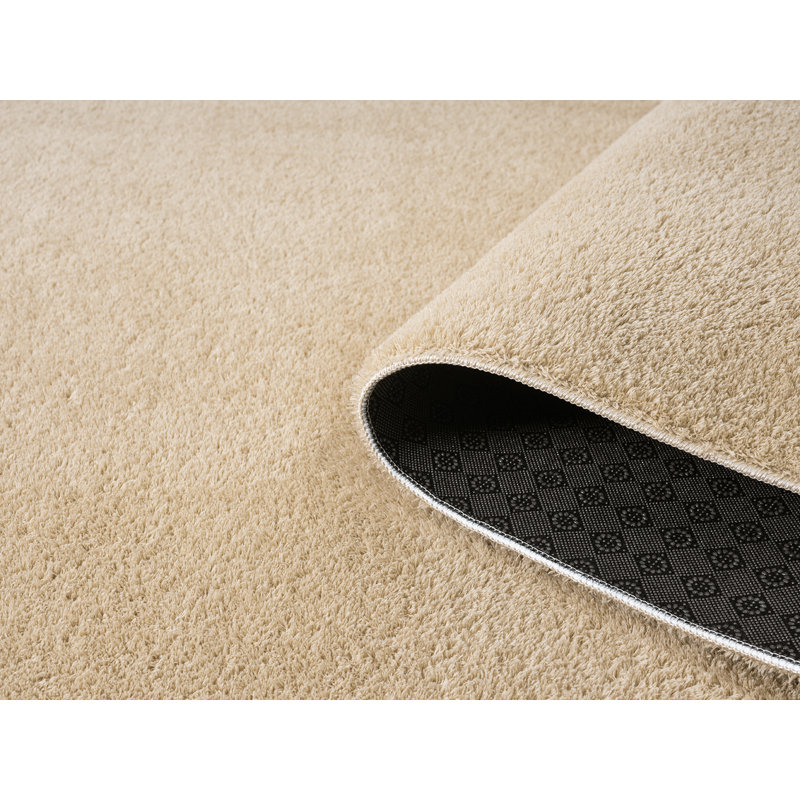 Taeler Washable Modern Living Room Rug Polyester Plain Indoor Area Rug with Low Pile - Anti-Slip Felt Backing SuperSoft Carpet Bedroom-Hallway, Light Beige