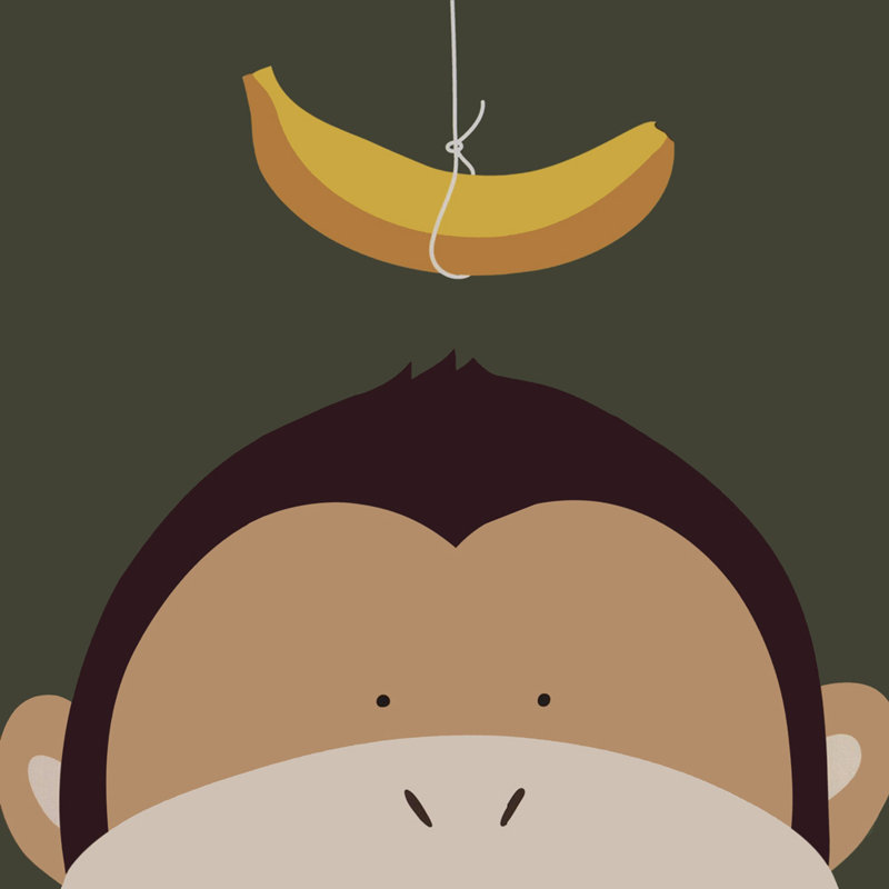 Singe Peek-A-Boo, H 15 po x l 15 po