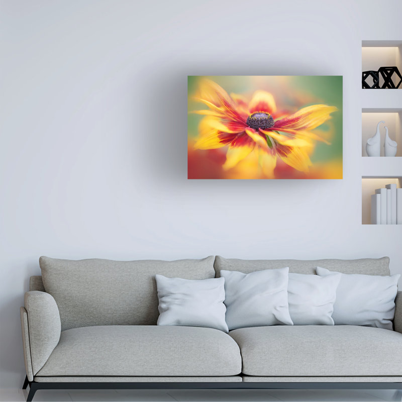 Art sur toile «bolologic Jacky Parker», H 12 po x l 19 po