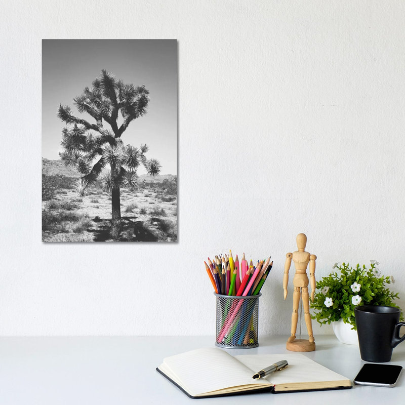 Joshua Tree I by Ann Hudec - Wrapped Canvas Print, 20.32 cm H x 30.48 cm W