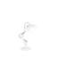 Haidar Metal Desk Lamp-160358642