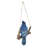 Hanging Jay on a Branch