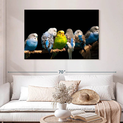 Budgerigars On A Rope