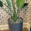 Photos des clients 2 de 3