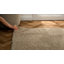 Shaggy Lush Beige Rug-585339382