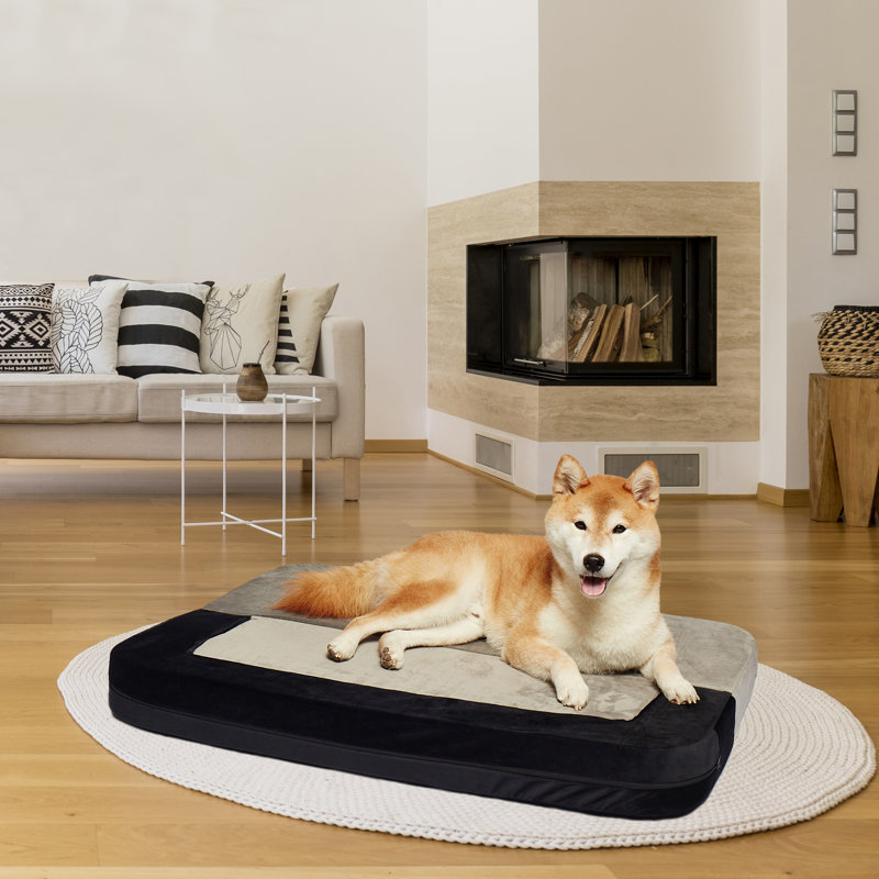 Canapé-lit orthopédique pour animal de compagnie convertible en velours Larry, Gris, Moyen (l 36 po x P 28 po x H 4 po)