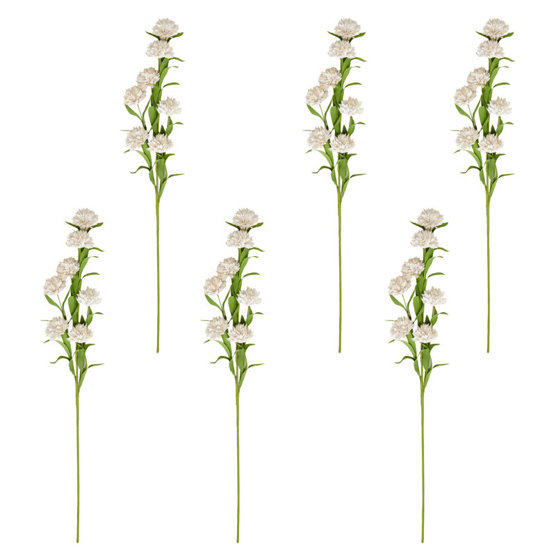Vaporisateur de souci artificiel, Blanc
