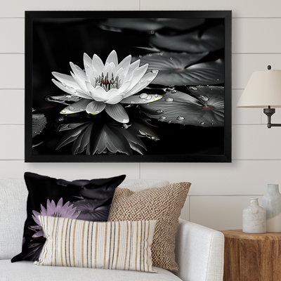 Lotus Bloom Between The Lilly Pads - Lotus Framed Prints