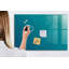 Magnetic Glass Dry Erase Board