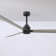 Alessandra Outdoor Ceiling Fan