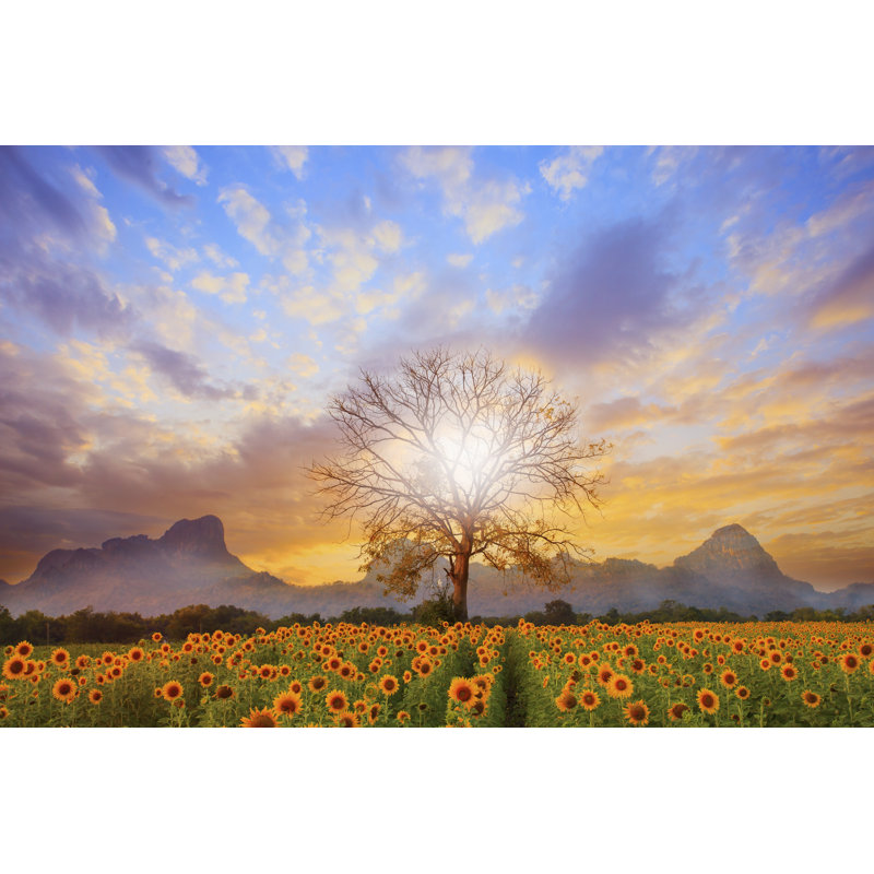 Sunflower Field And Sun Shining by Suriyasilsaksom - Wrapped Canvas Print, 30cm H x 46cm W