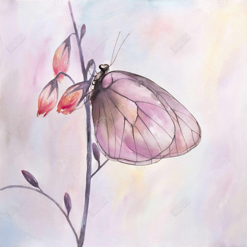 " Delicate Butterfly "