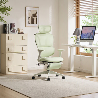 Chaise de bureau ergonomique en maille avec repose-pieds rétractable et soutien lombaire dynamique