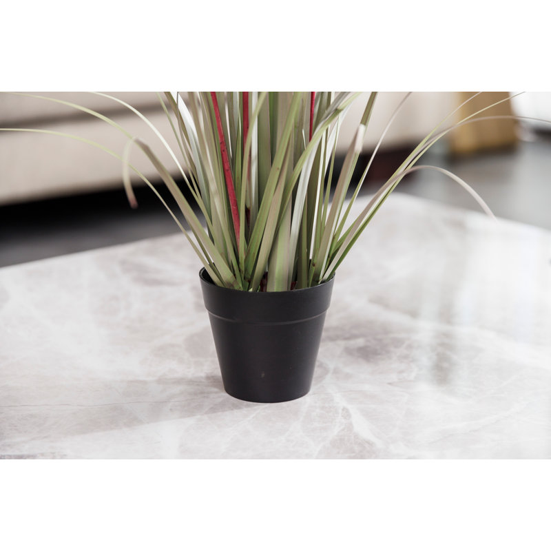 Keyone 21'' Faux Reed Grass in Pot