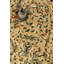 Agra Handmade Wool Floral Area Rug