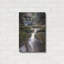 Mur en métal Millwood Pines «Shays Run And Elakala Falls» par Rick Berk-1214042404