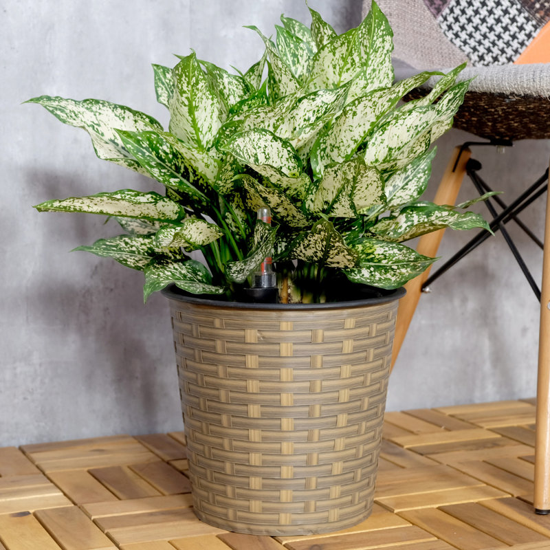 10.2" Round Natural Planter - Self-Watering Technology Ideal For Home And Garden Indoors Outdoors With Feature Weather Indoor Outdoor