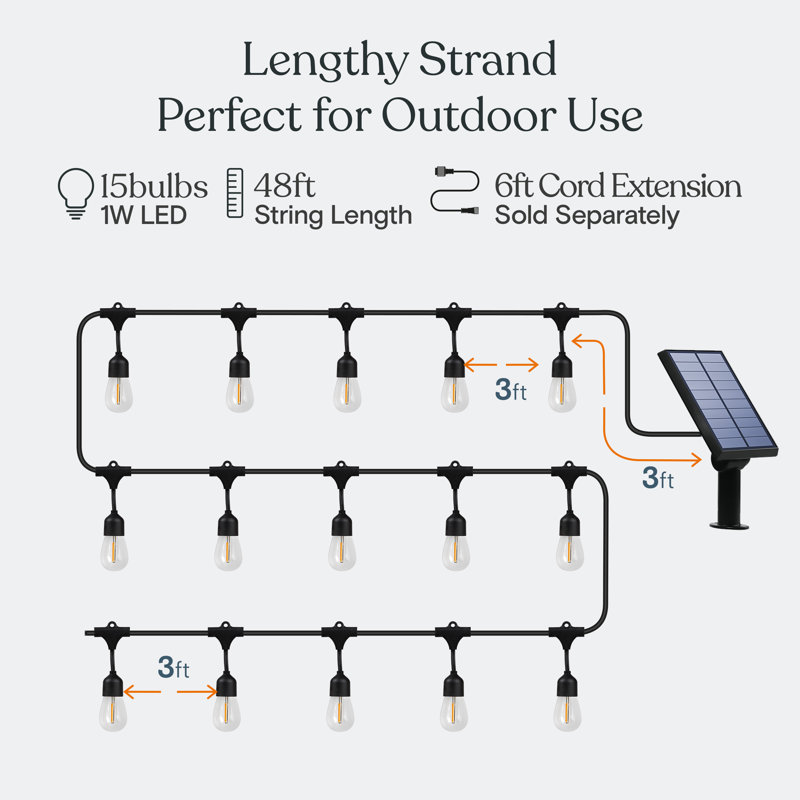 Ambience Pro 48 ft. Solar Outdoor Patio LED String Lights with 15 Warm White S14 Edison Bulbs, Weatherproof, Warm White 2700K