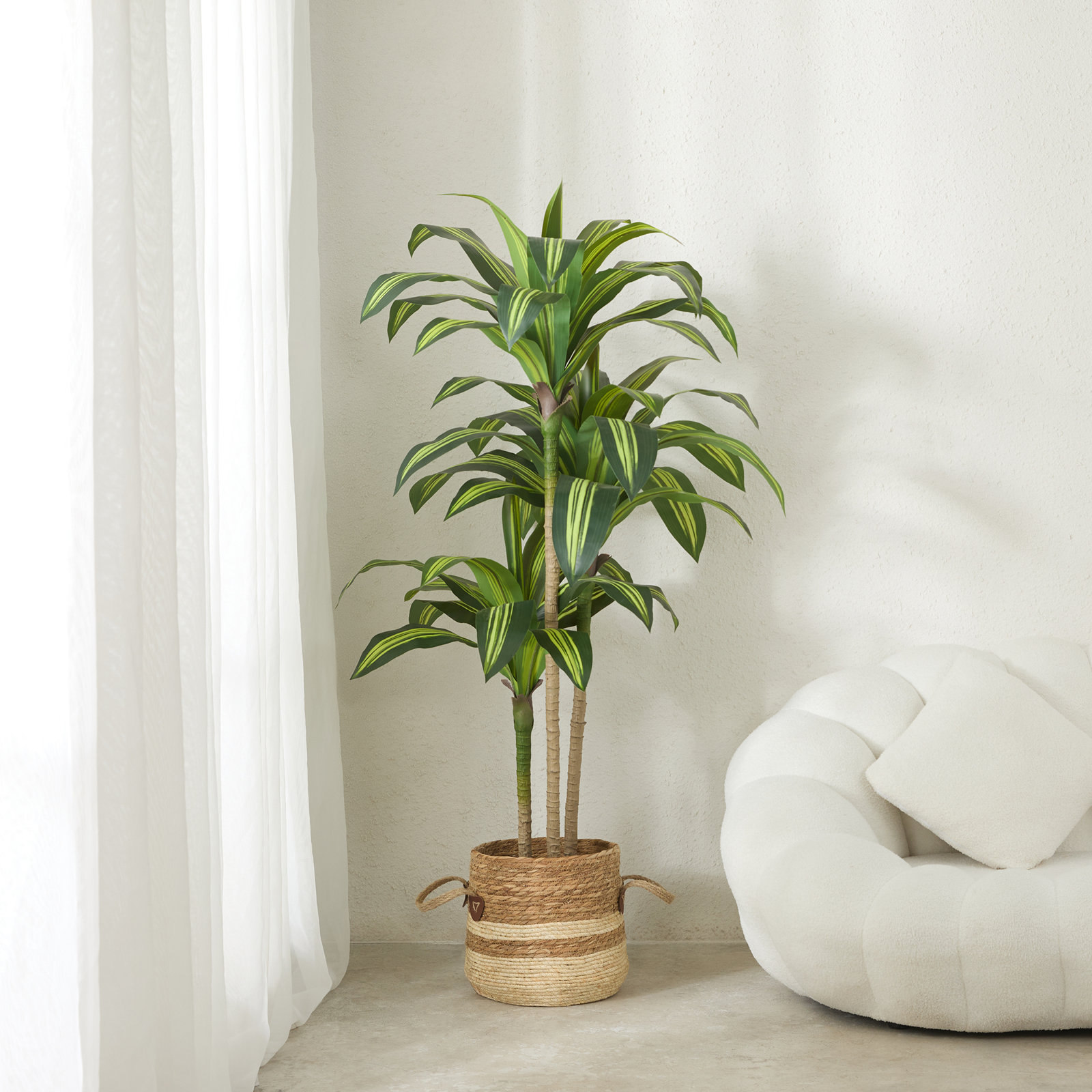 Adcock 72" Dracaena Tree in Pot, Yellow, 60" H x 22" W x 22" D