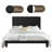 Dendrick Upholstered Tufted Velvet Bed-71942766-71942767