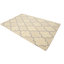 Tapis oriental crème et gris moderne 5 x 8